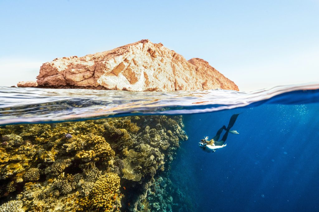 جدول تمارين سباحة للمبتدئين